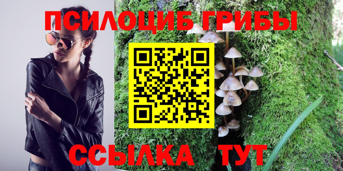 Псилоцибиновые грибы MAGIC MUSHROOMS Обь